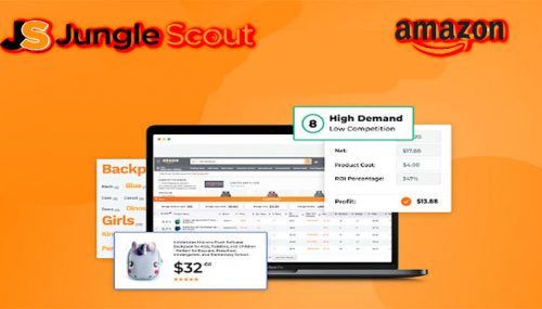 Launch and Grow Your Online Store with JungleScout